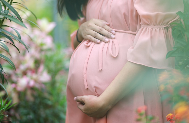 pregnant lady